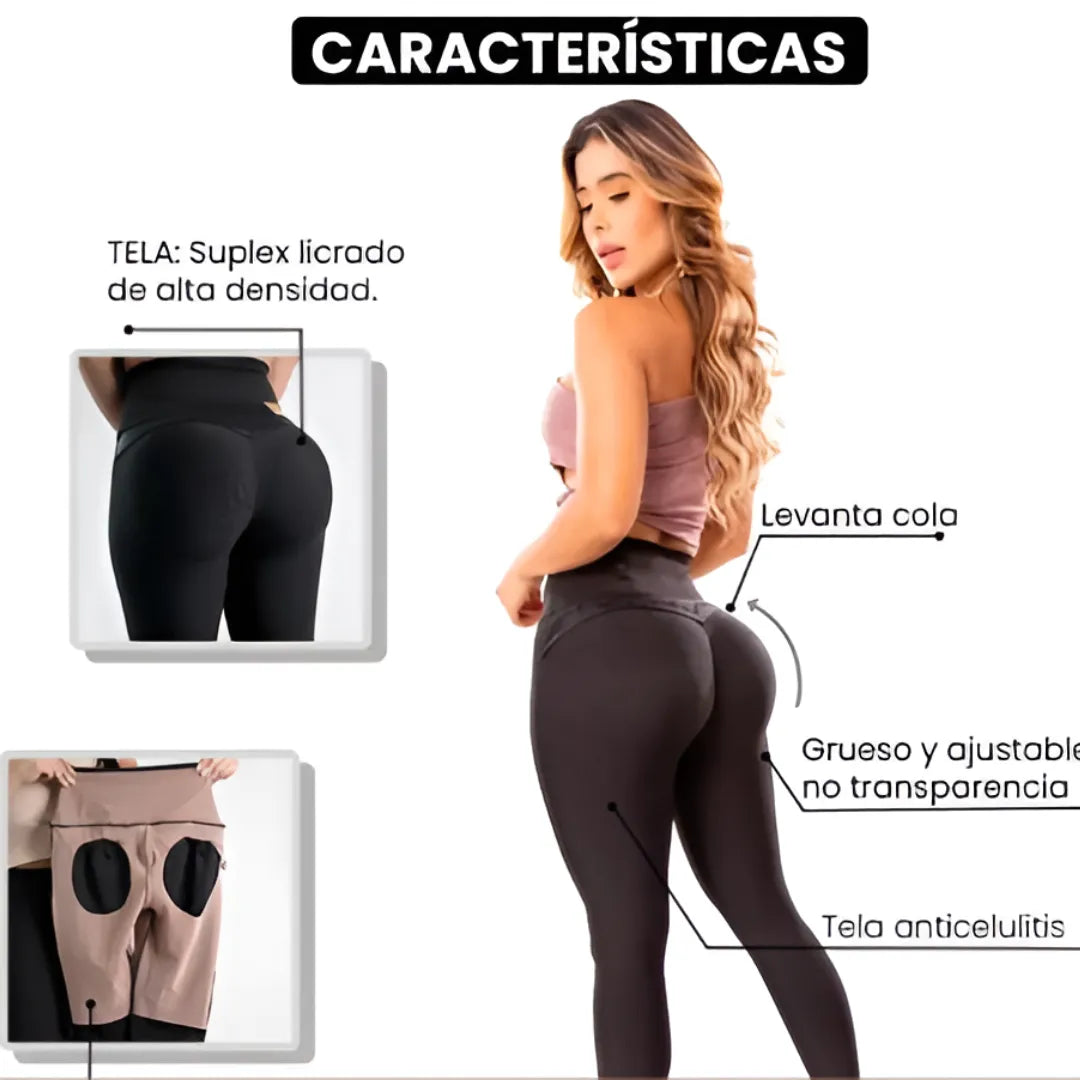 NUEVO LEGGINGS LEVANTACOLA (A3)- FAJA POWERNET